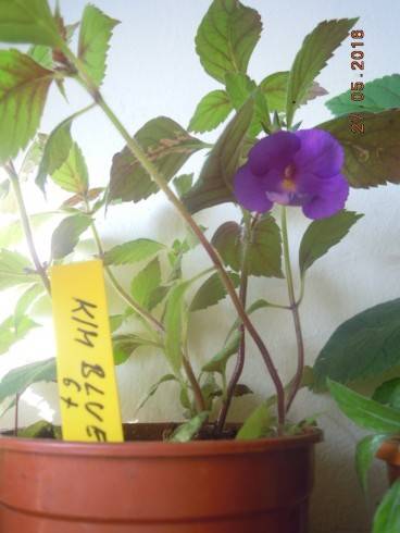 DSCN1388.JPG