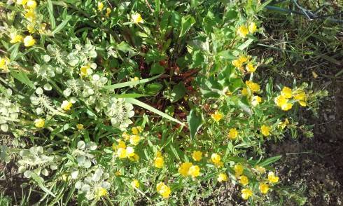 20160530_173058.jpg