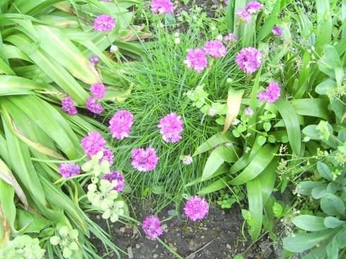 PIC_0342.JPG