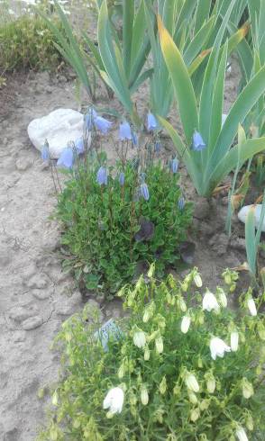 20160613_183505.jpg