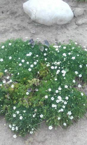 20160613_183509.jpg