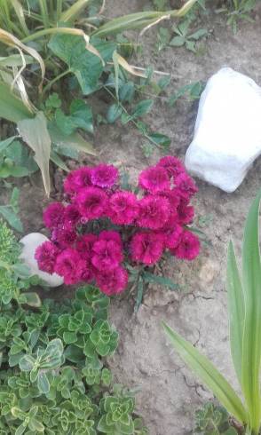 20160613_183528.jpg