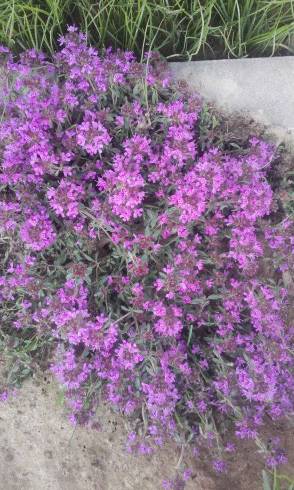 20160613_183546.jpg