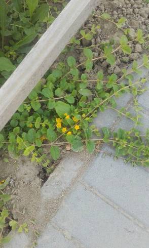 20160613_183759.jpg