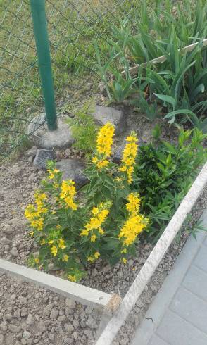 20160613_183811.jpg