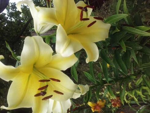 20160715_142432.jpg