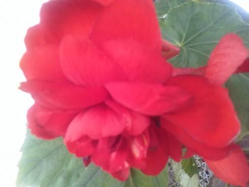 20160715_175551.jpg