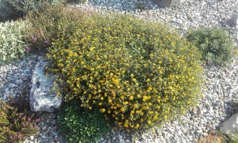 20160913_161037.jpg