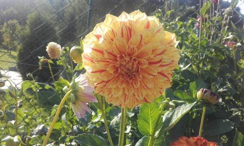 20160913_160924.jpg