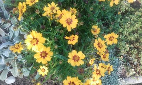 20160911_073828.jpg