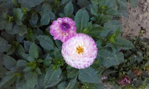 20160914_174952.jpg