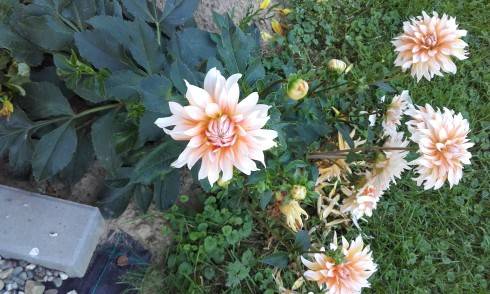 20160914_174941.jpg