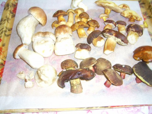 PIC_0636.JPG