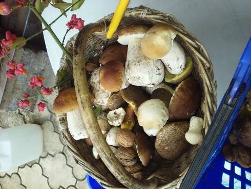 20161015_120319.jpg