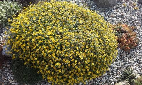 20161028_121734.jpg