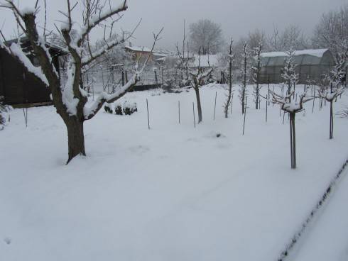IMG_5302.JPG