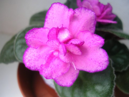 DSCN5814.JPG