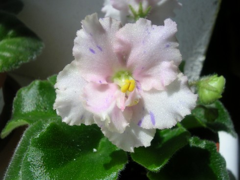 DSCN5821.JPG