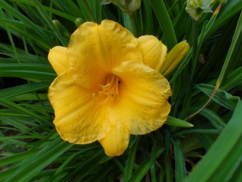 DSC00100.JPG