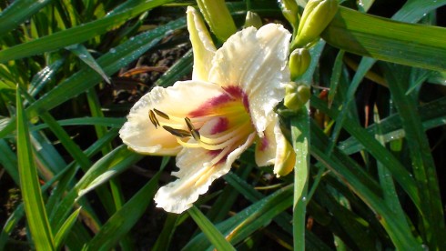 DSC00139.JPG