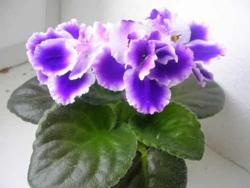 DSCN5835.JPG