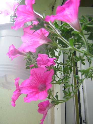 Rotation of DSCN4303.JPG