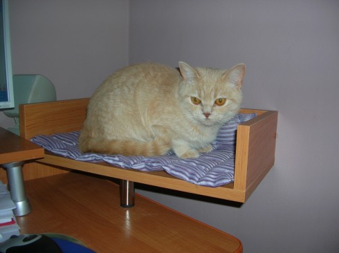 evička na polici.jpg