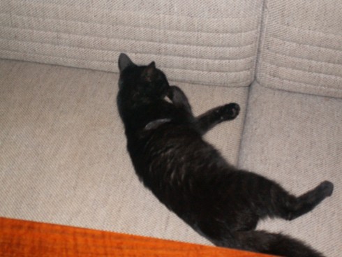 Můra 9.2010 005.jpg