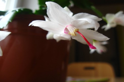 6.11.2010 001.jpg