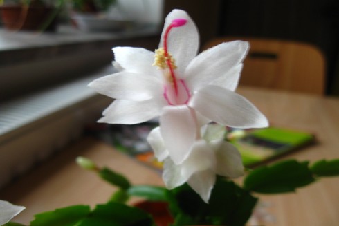 6.11.2010 002.jpg