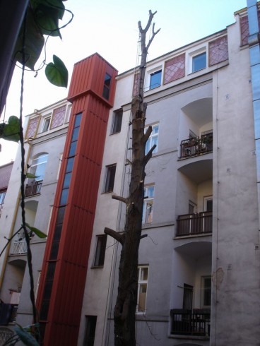 DSC07800_2.JPG