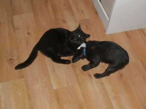 26.02.2011 023.jpg
