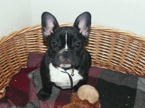 11.03.2011 003.jpg