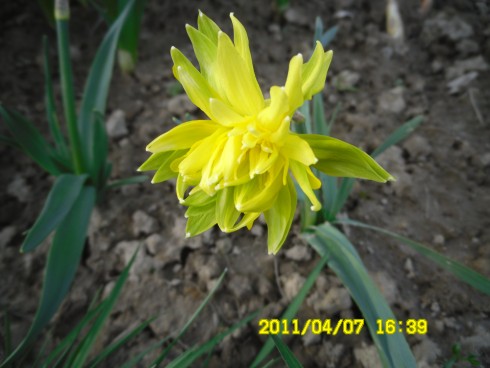 Snímek 881.jpg