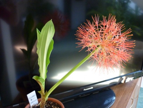 23.4.2011 007.jpg