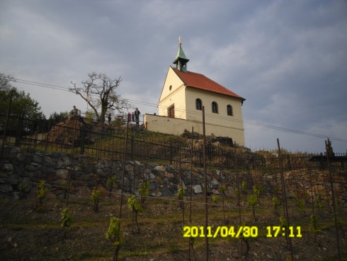 Snímek 921.jpg