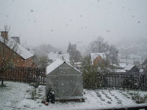 burza Praha 2011 021.JPG