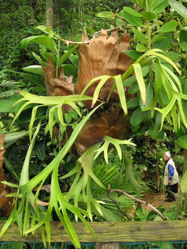 Botanická 6.jpg
