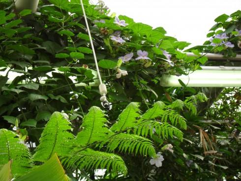 duben 2011 004.jpg