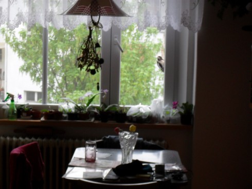 duben 2011.jpg