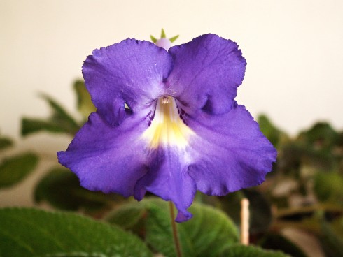 LLL 022.JPG