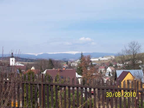 jaro 2010 003.jpg