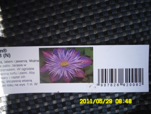 Snímek 924.jpg