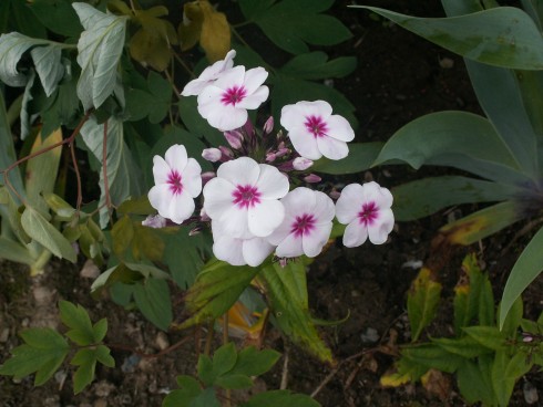 PICT0023.JPG