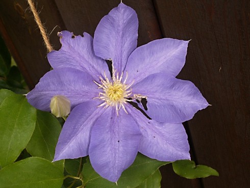 PICT0002.JPG