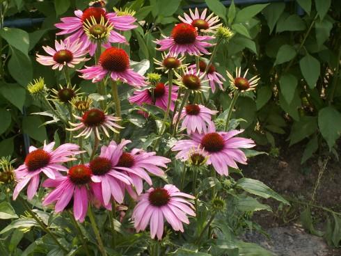 PICT0018.JPG