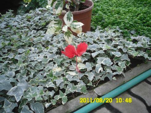 Snímek 1173.jpg