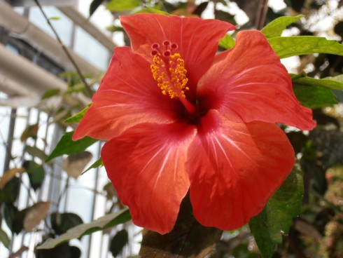 065.JPG