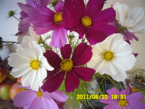 Snímek 1184.jpg