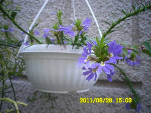 Snímek 1208.jpg